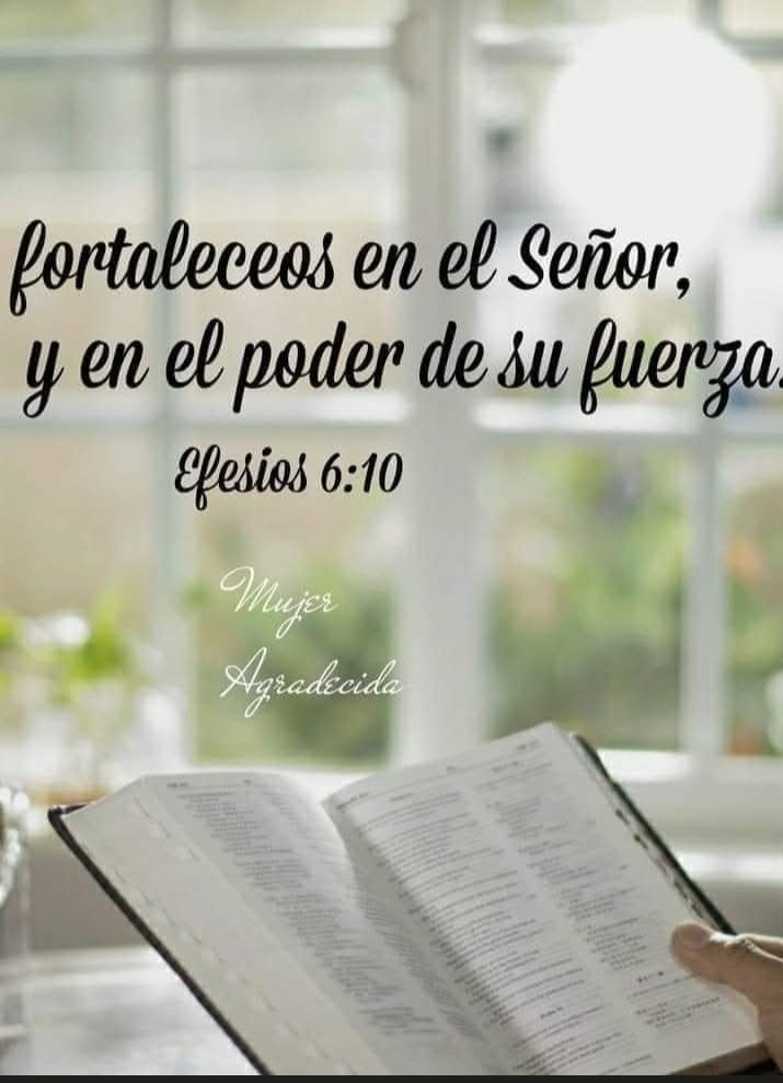 Jesucristo es el camino. tweet media