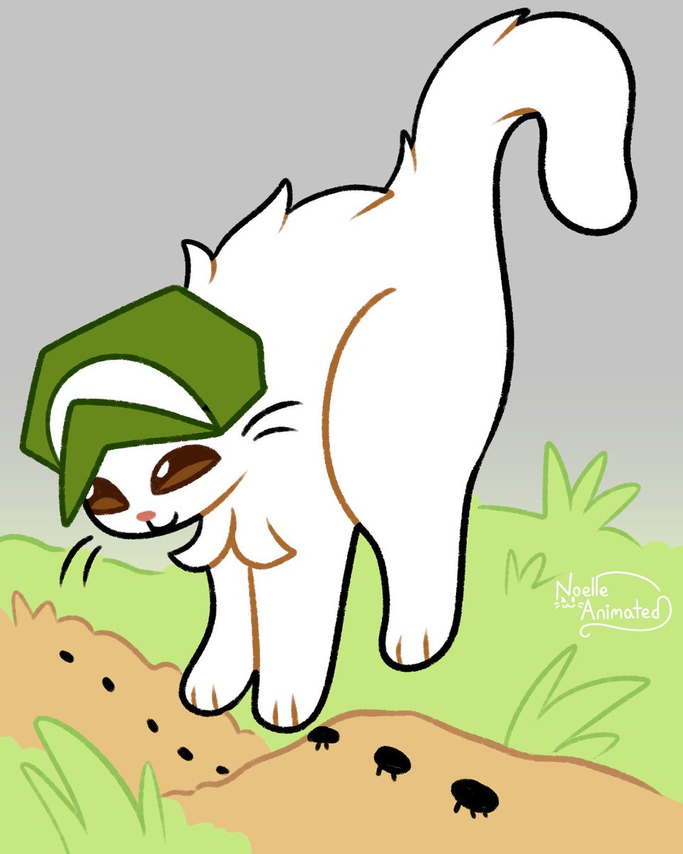 Daily Bucks tweet media