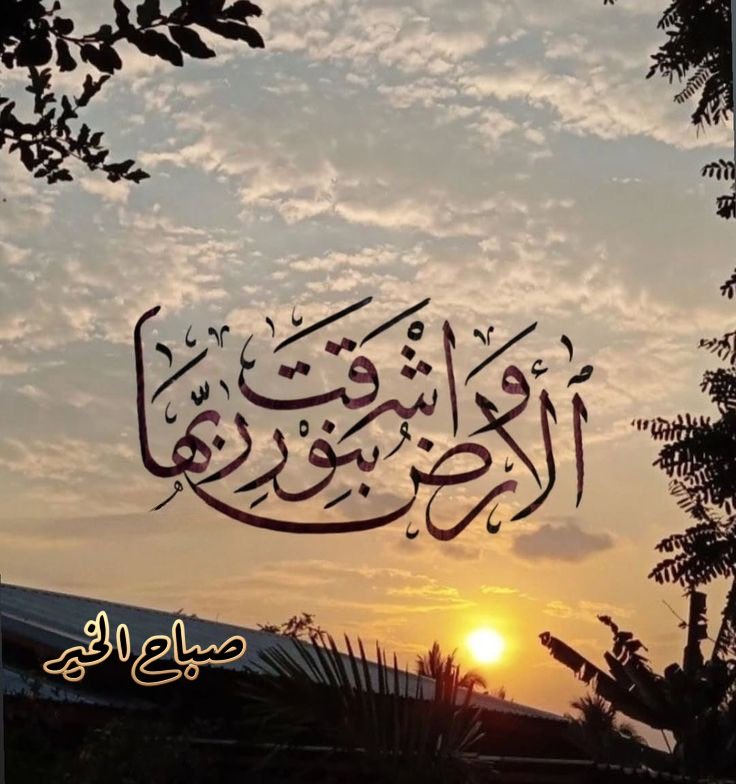 محمد عبدالله احمد الفالح ابو عبدالله tweet media