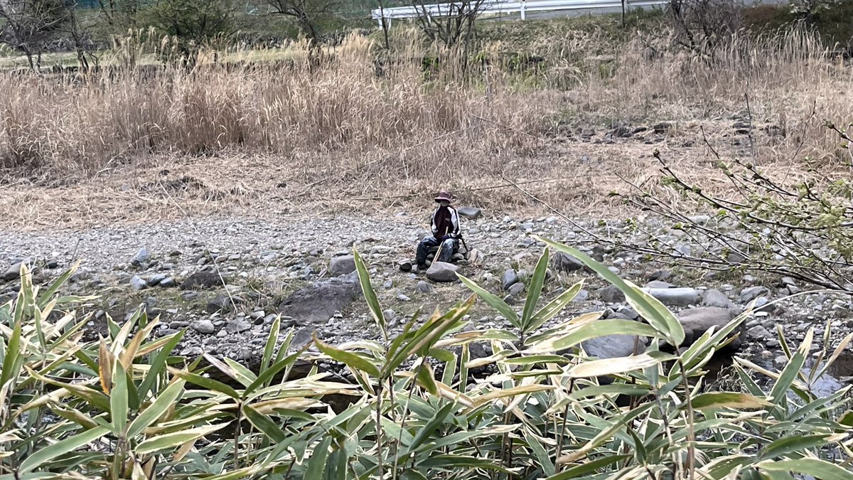 カエルオヤジ🐸広告有り tweet media