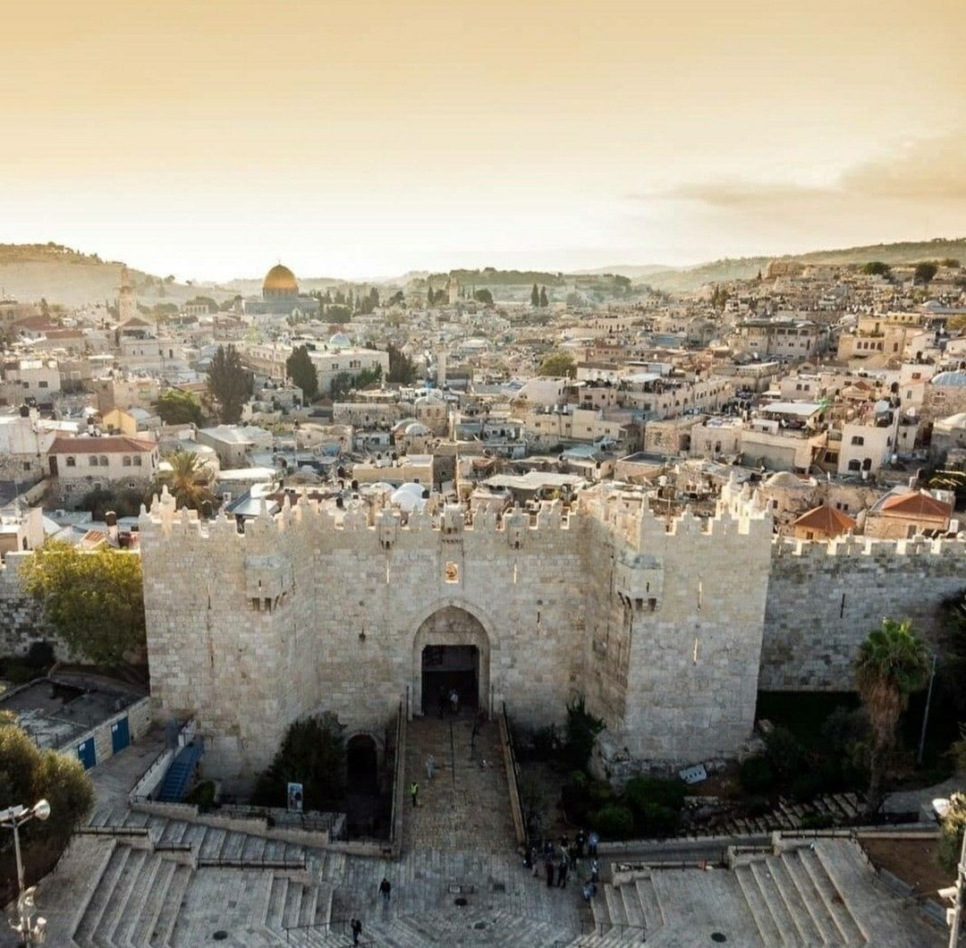 Eli Afriat 🇮🇱 tweet media