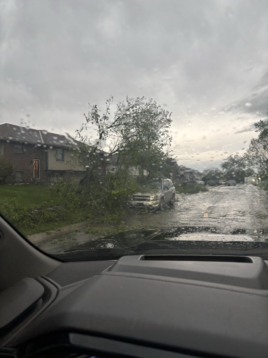 CaptainN8Morgan's tweet photo. @KSHB41 I think it had started to weaken, but E 170th &amp; Kentucky Rd in Raymore, MO had some slight damage to houses and a lot of tree and fence damage. https://t.co/zbH7cvUC8z