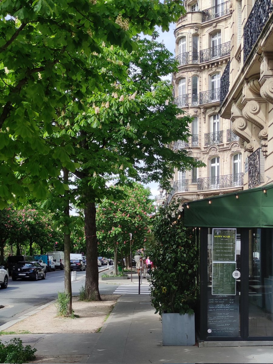 petitartmateur's tweet image. La Belle Étincelle, fleurs de marronniers, boulevard Pasteur #paris15 #arbres #printemps