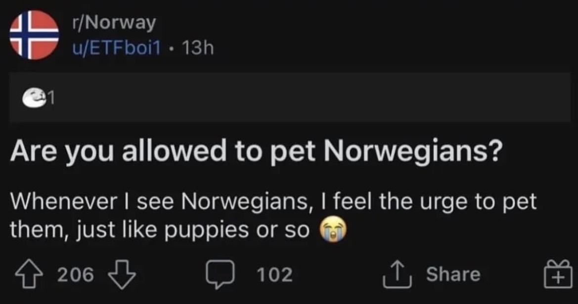 Images AI Could Never Recreate (@imagesaicouldnt) on Twitter photo 