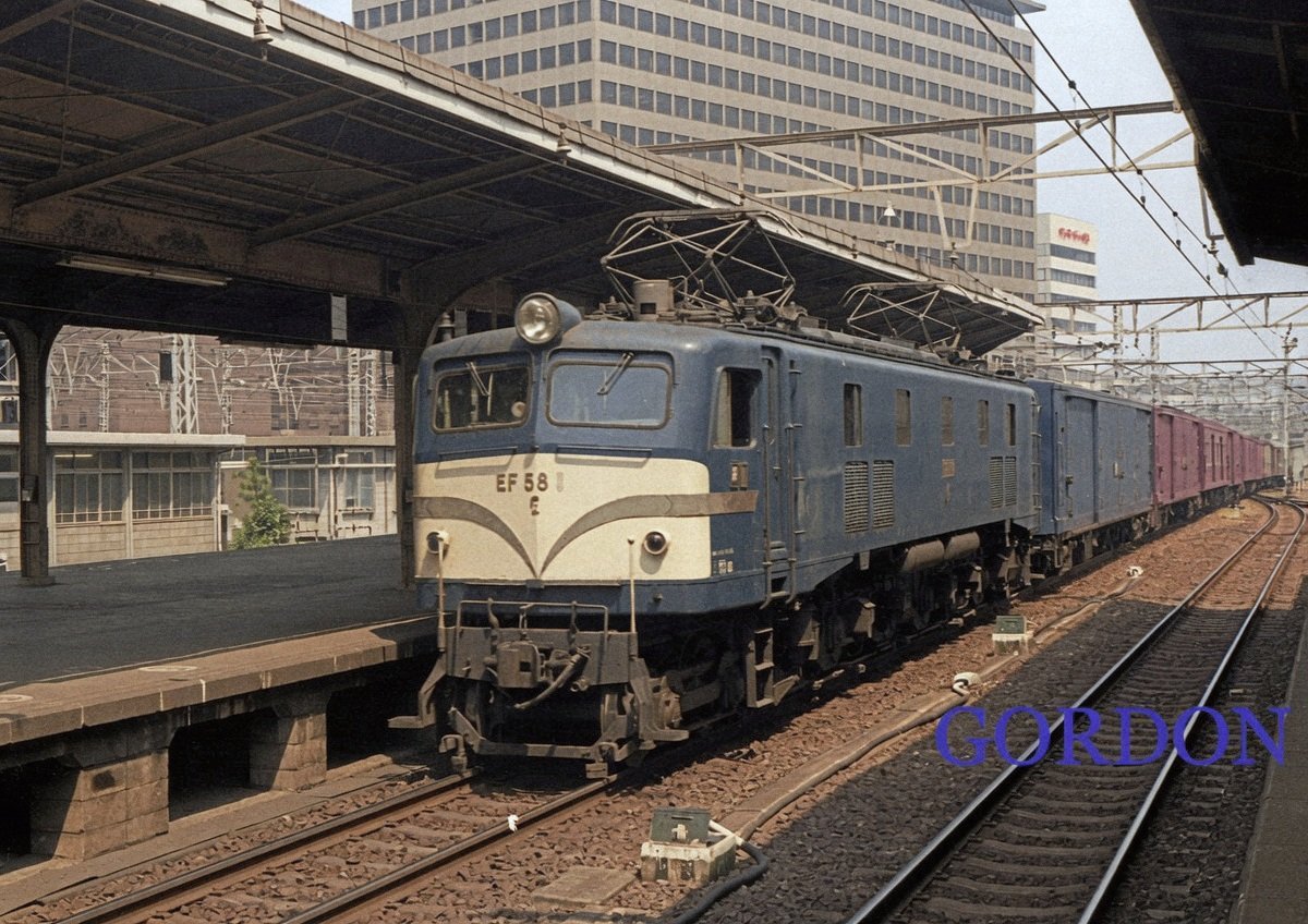 GORDONピロシ☆彡 tweet media