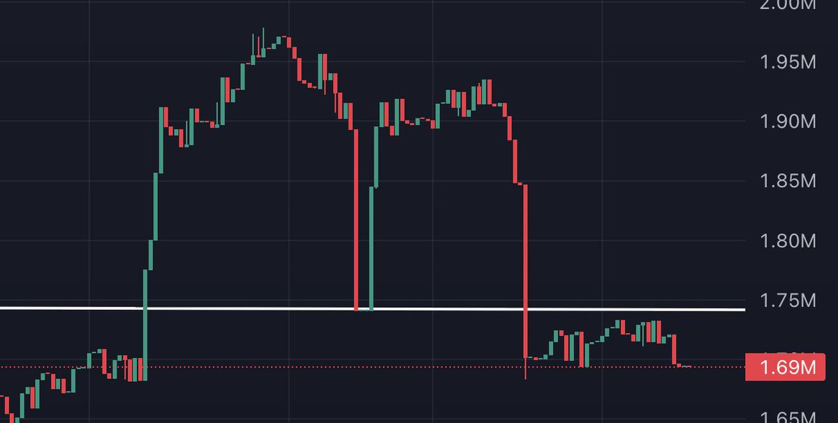 slingoor tweet media