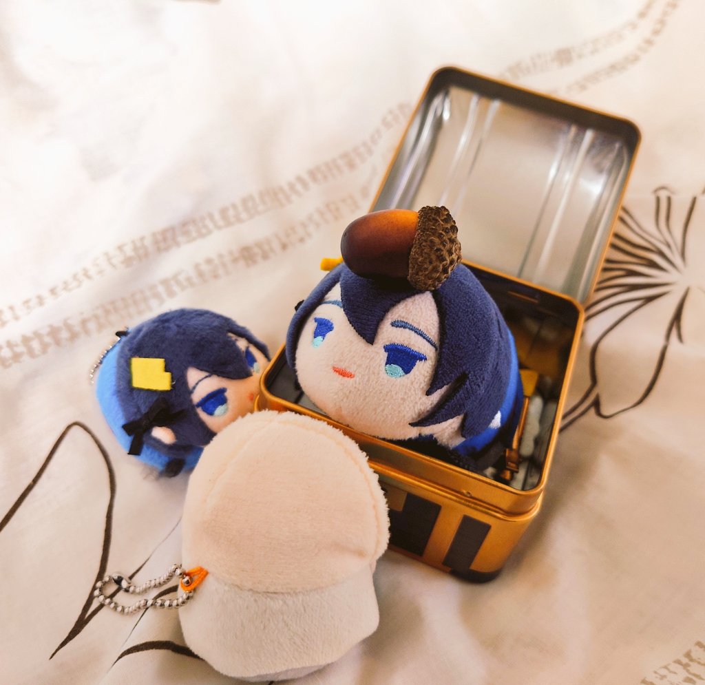 #みかちゃんと今日のどんぐり
(874/北野天神展示初日）

すまん、宝箱の中にいるのは俺だ。
でられなくなってしまってな

(みか)ちゃー!?🌸

🌙🌙🌙

月齢（0.6/仏滅)