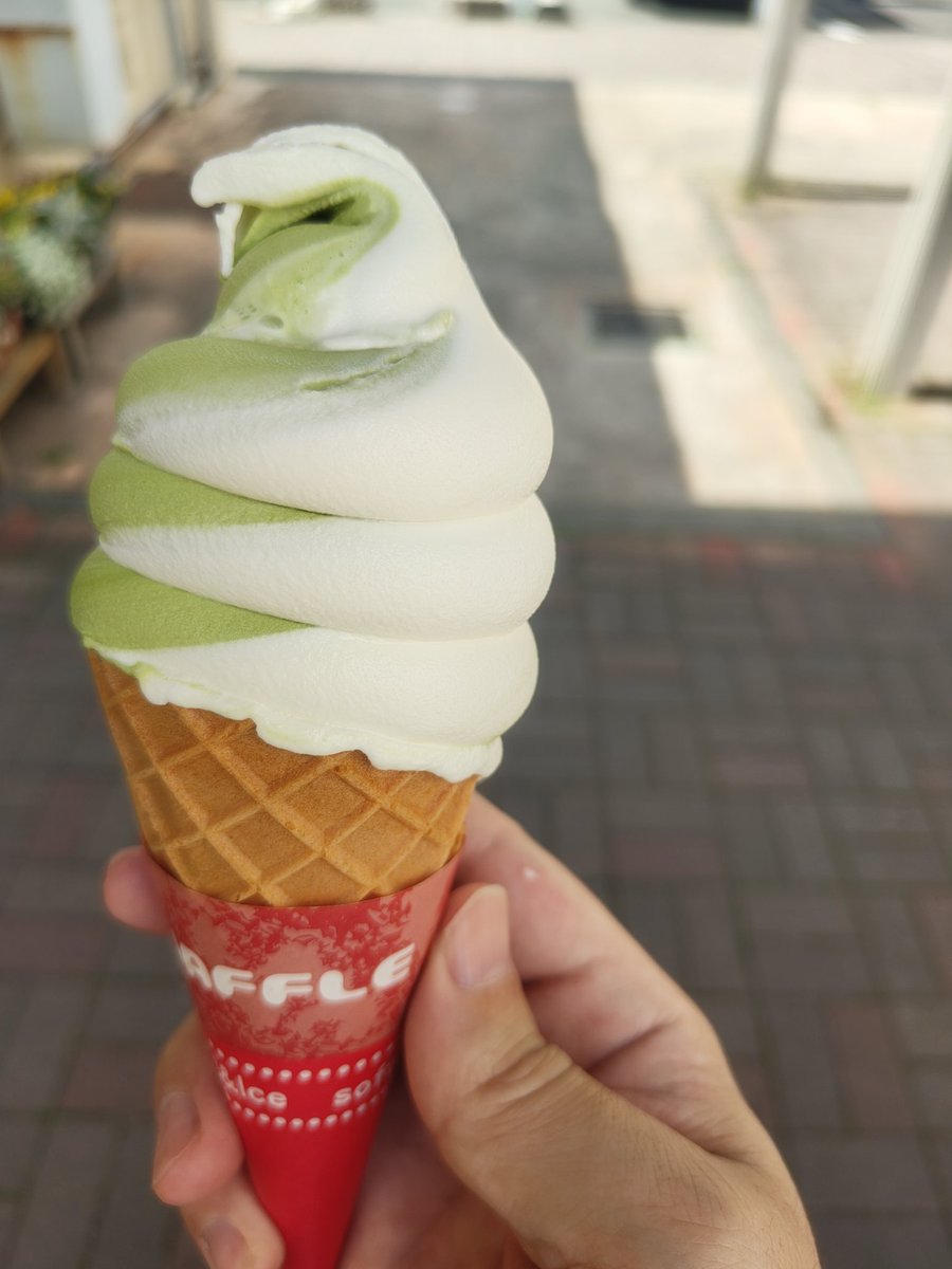 一眼カメラ、持ってくれば良かった…。
まさかネモフィラがこんなに咲いてるところがあるなんて🤔

#道の駅伊勢志摩 #志摩市観光農園