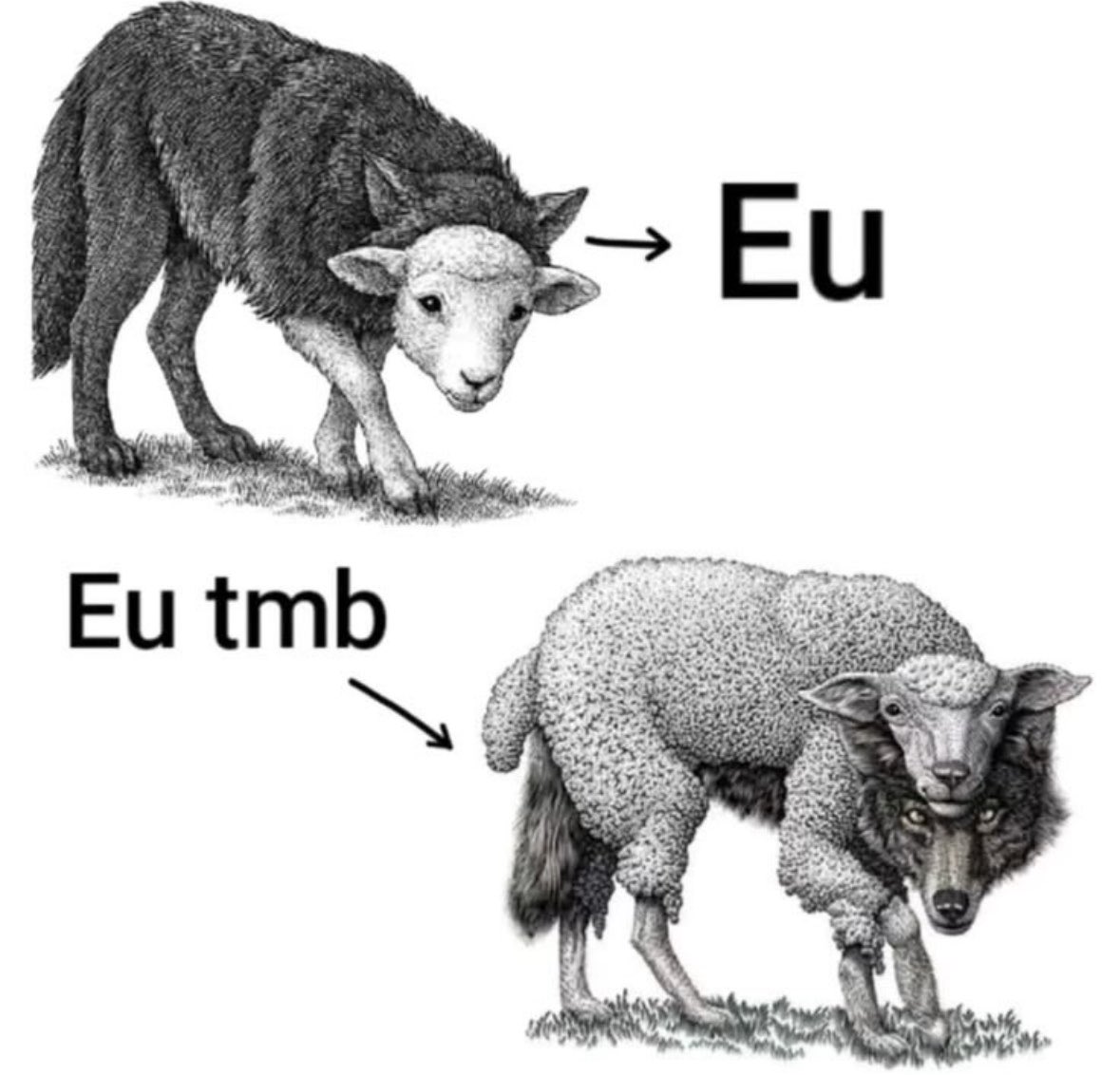 socratescrf tweet media