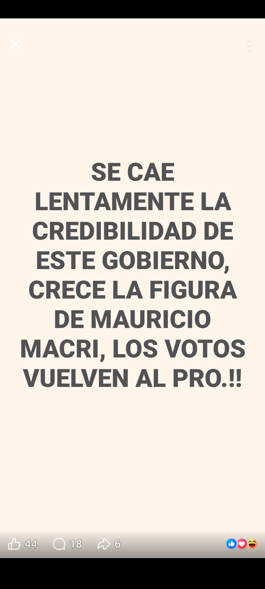 silvia rodriguez 💛 😺 tweet media