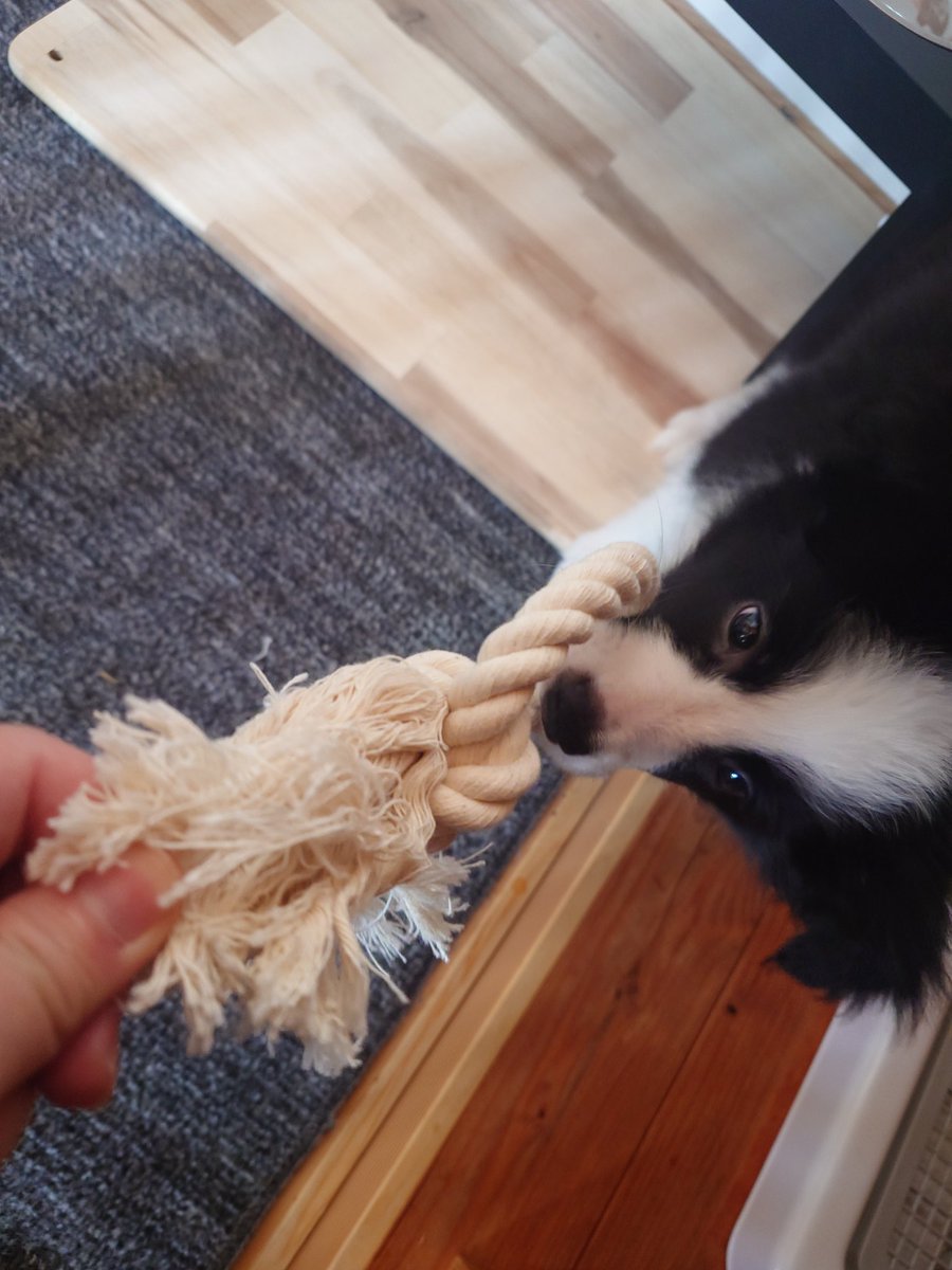 ノーフェイス tweet media