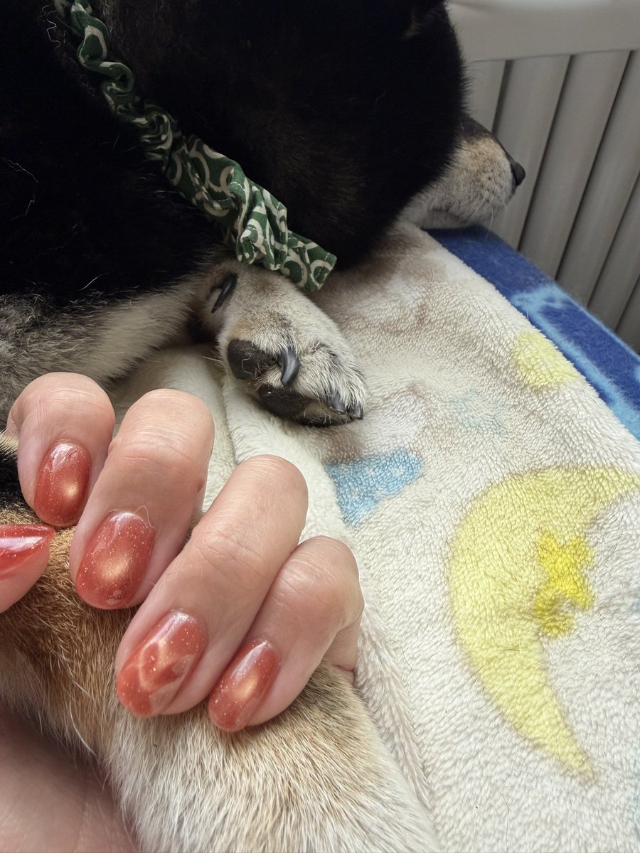 m.g@uma垢🏇✨ tweet media