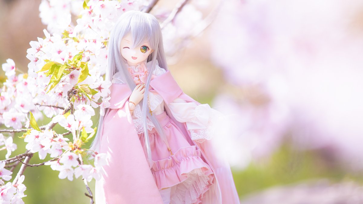 雪紅葉 tweet media