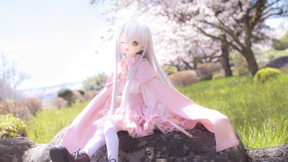 雪紅葉 tweet media