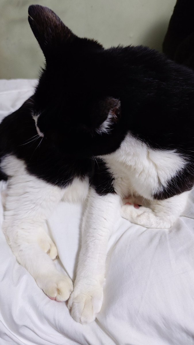 ひろっぺ☝️🎹🔥 tweet media