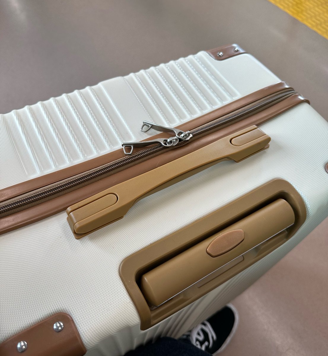 미이🌟🏴‍☠️ tweet media