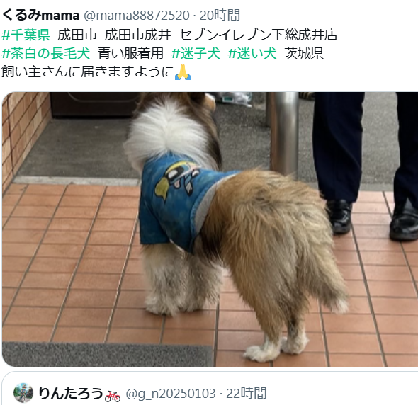 くるみmama tweet media