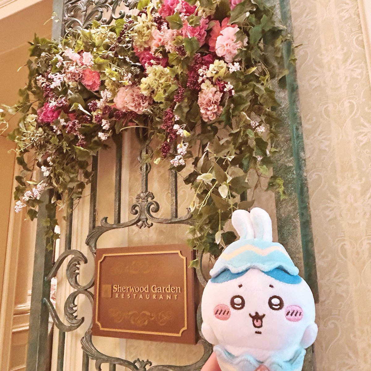 🐱うきワレ🐱 tweet media