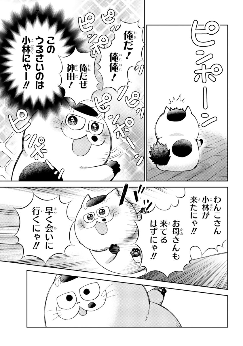 桜井海＠おじ猫17巻6/11発売！ tweet media