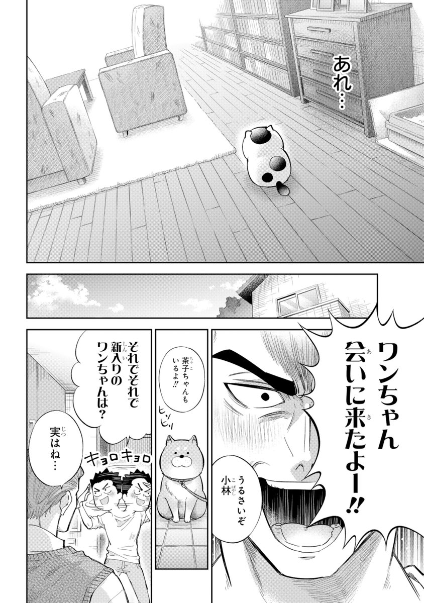 桜井海＠おじ猫17巻6/11発売！ tweet media