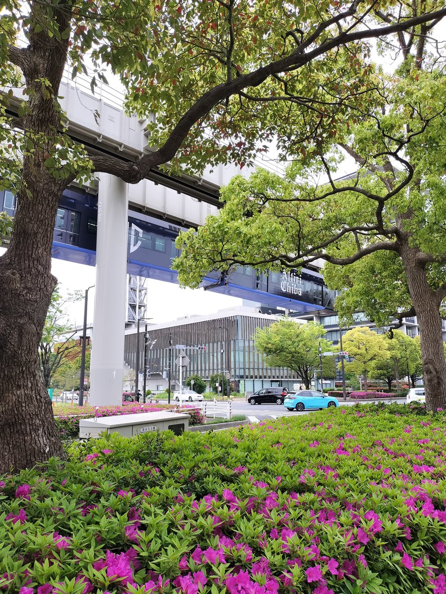 てるん tweet media