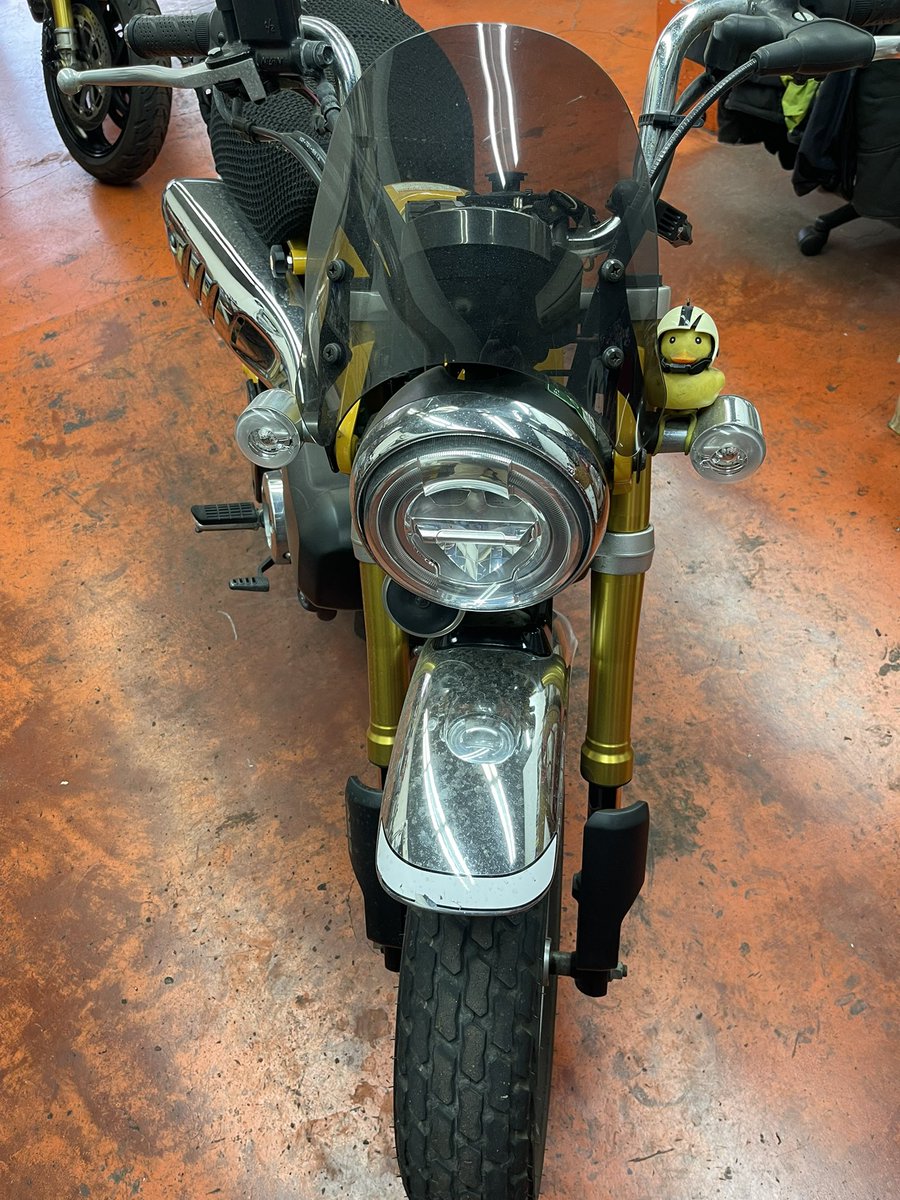 bikesensei's tweet photo. ごっちゃんちのモンキー125

久しぶりなのでガッツリと整備していきましょう！

まずはステムベアリングの確認と洗浄＆グリスアップします。 https://t.co/NfznvvUbJF