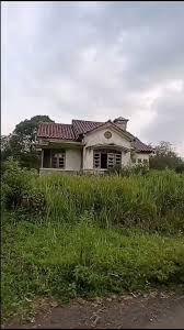 MSHIDIQ TANYADEMIT tweet media