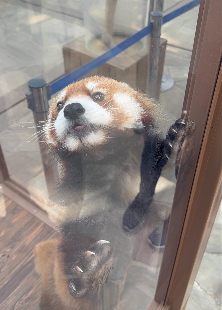 るん🐾 tweet media