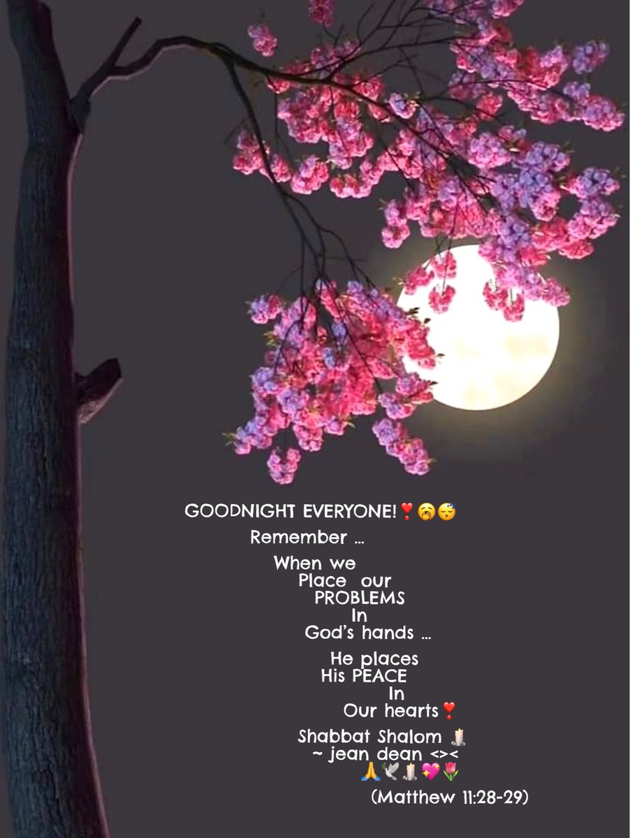 usedforGod's tweet image. Goodnight, EVERYONE!❣️😴
Shabbat Shalom 🕯️
~ jean dean &amp;lt;&amp;gt;&amp;lt;

#shabbatshalom #GodBlessYou #MAGA