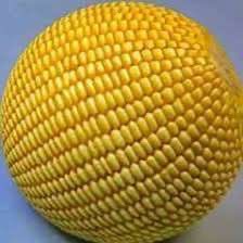 Rick “White Boy Rick” Wershe tweet media