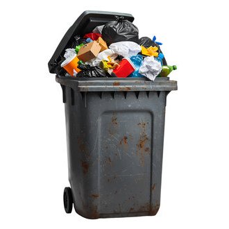 Punkpup 👻🐶 tweet media