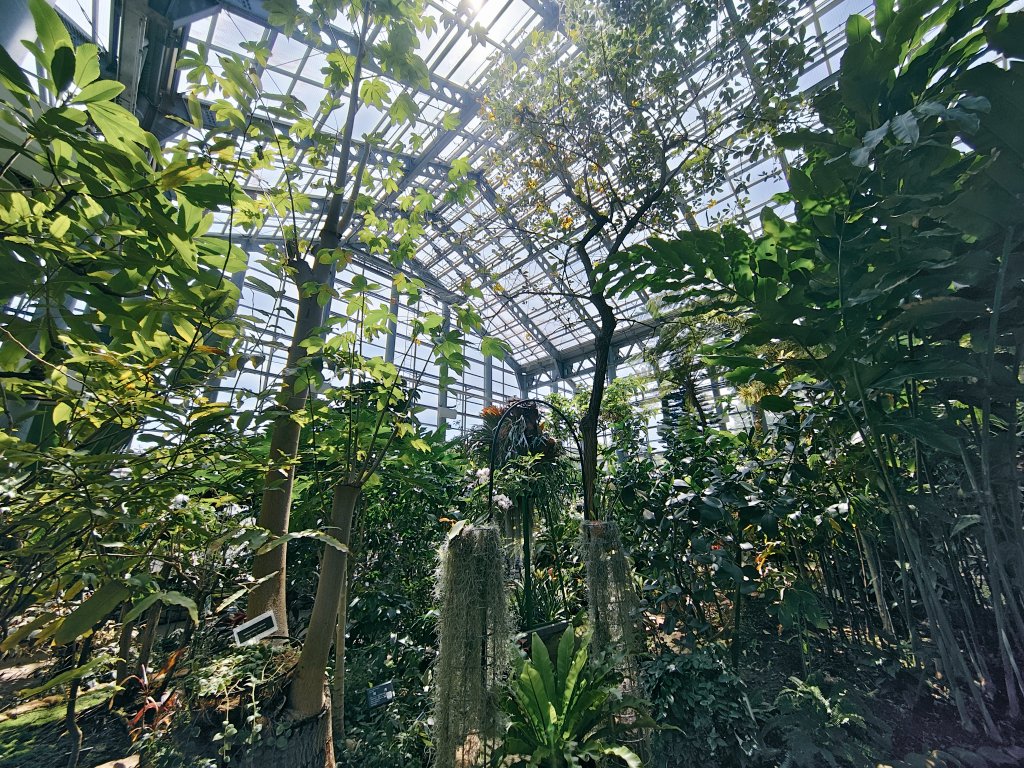 sadanojo's tweet photo. 植物園！ https://t.co/tKmFSU2BCz