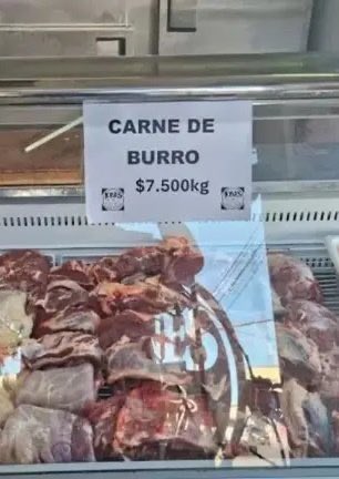 TugoNews's tweet photo. @madorni El resumen de la semana es que mientras vos viajas en jet privado al Caribe y remodelas tus 29 casas compradas con NUESTRA plata, el resto del país come carne de burro, chorro de mierda https://t.co/9waGpjdpgw