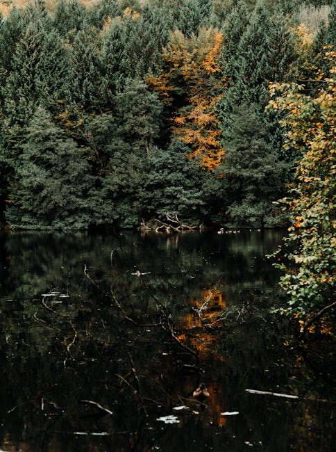 ร้านขายพอต VAPESHOP ครบทุกวงจร tweet media