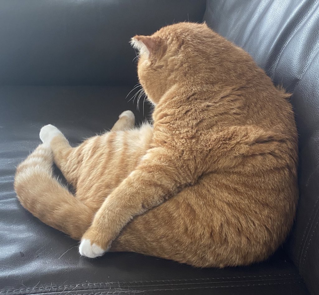 김냄비 tweet media