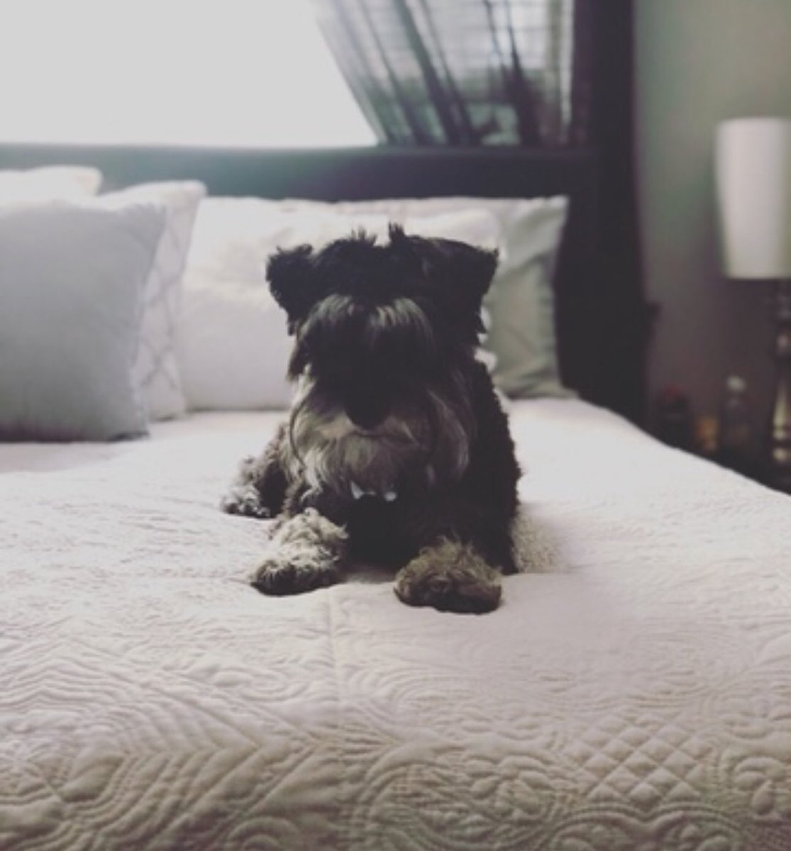 Sarah☦️ tweet media