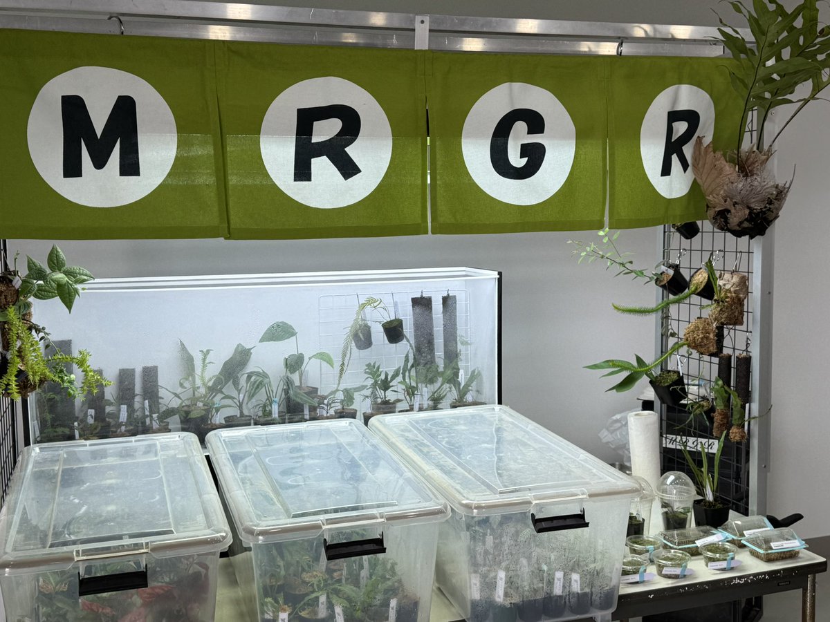 モレ吾郎@M.R.G.R since2020 tweet media