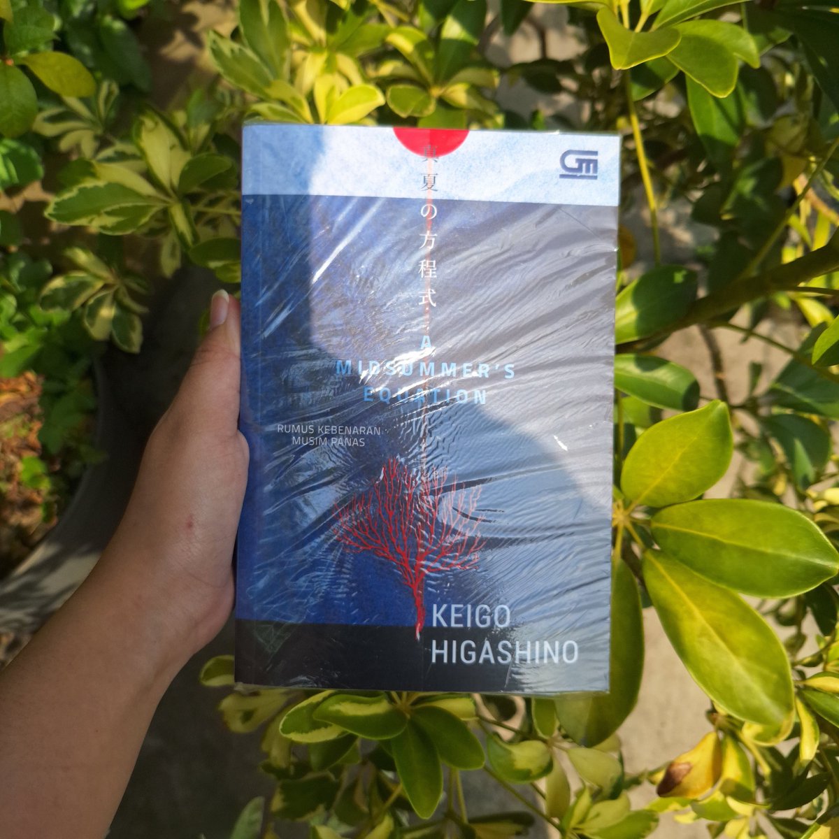 oren ૮ .◜◡◝ა 🇵🇸 tweet media