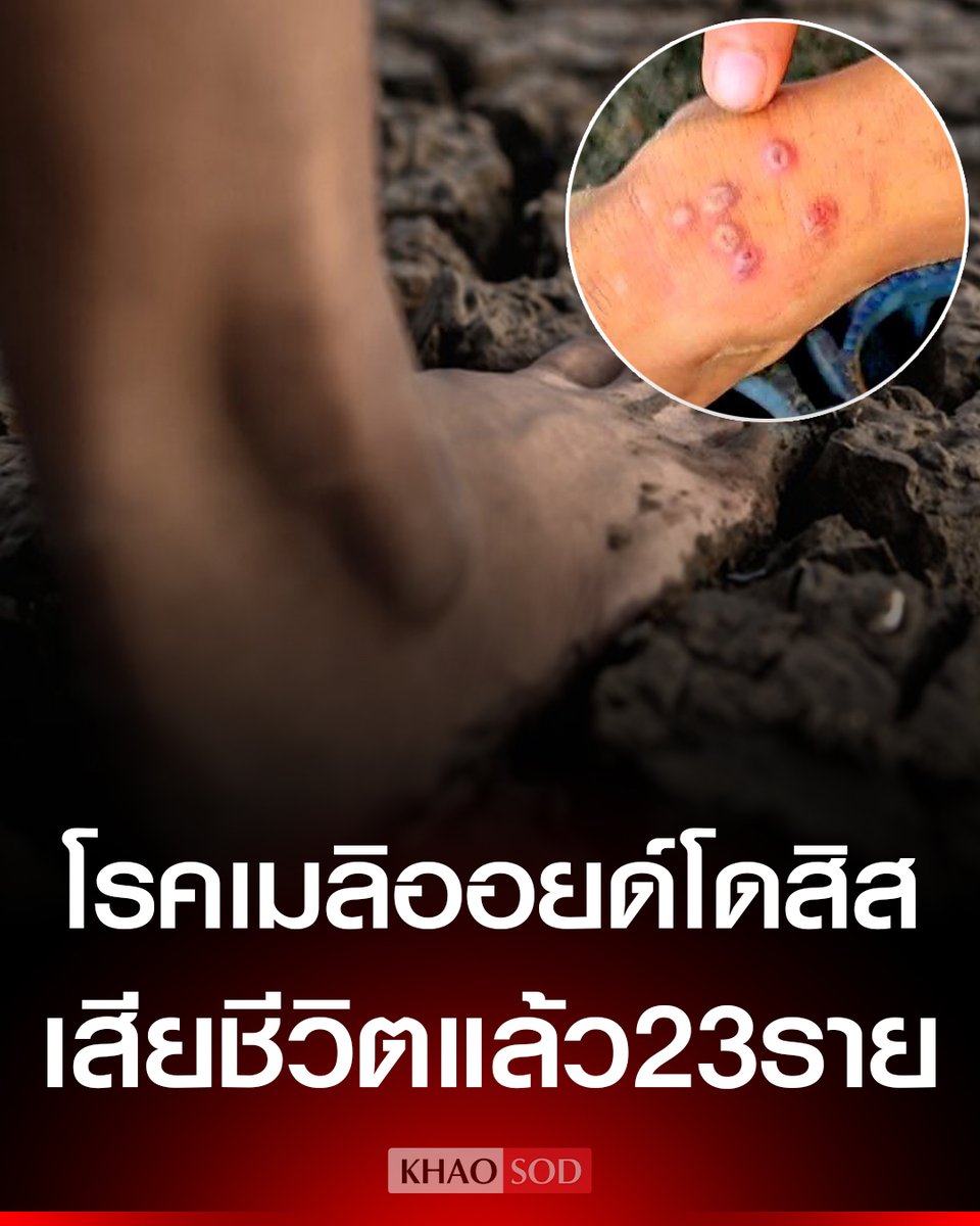 Khaosodonline tweet media