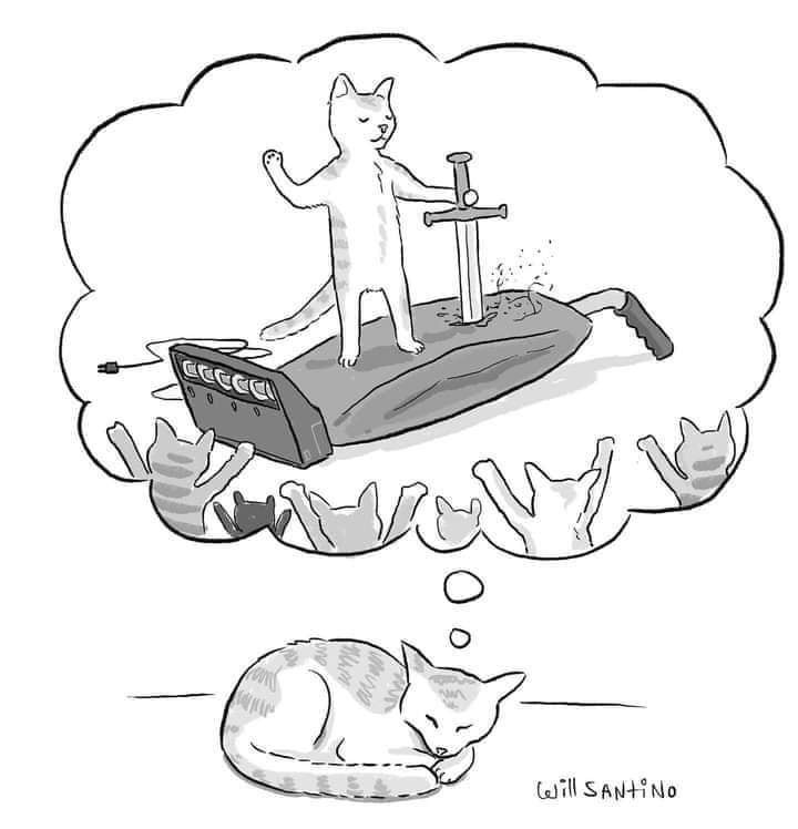 Punch Cat tweet media