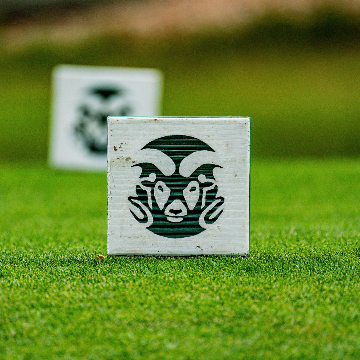 Colorado State Women's Golf tweet media