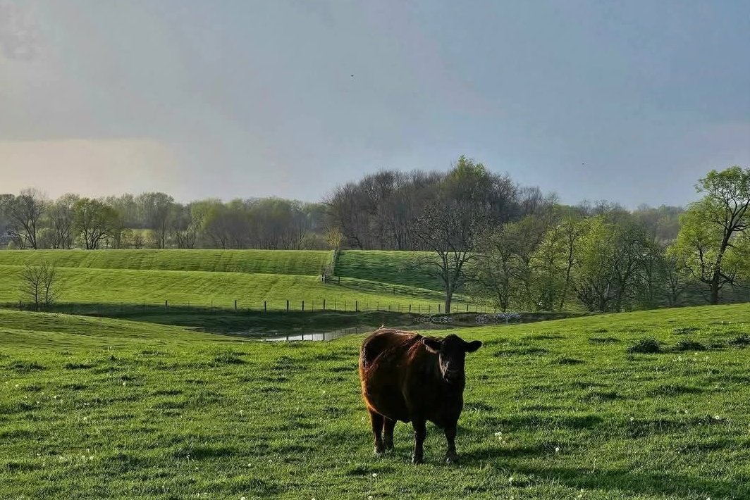 Airfemale 🇺🇸 🦅 tweet media