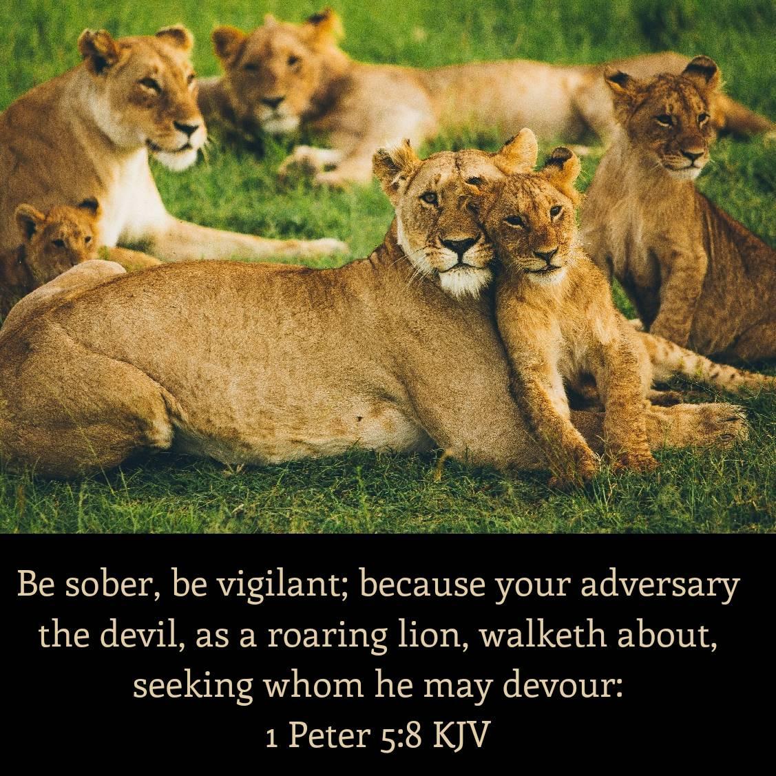 1 Peter 5:8 KJV
Be sober, be vigilant; because your adversary the devil, as a roaring lion, walketh about, seeking whom he may devour: 

bible.com/bible/1/1pe.5.…