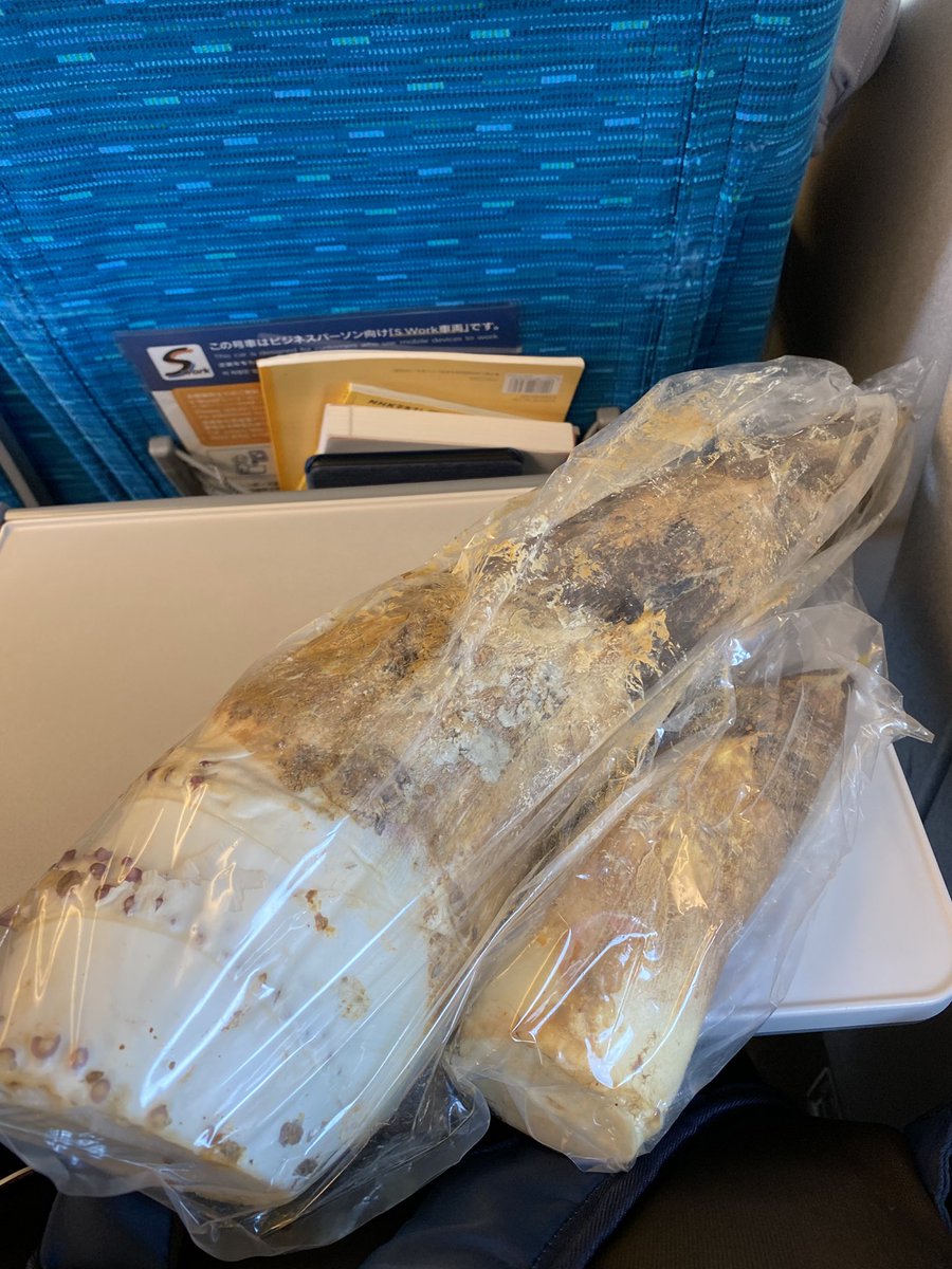 yuraguch's tweet photo. 今日の新幹線は中々混んでいましたが、朝堀りタケノコ持って乗っている人は少なかろう… https://t.co/OG9sQGrXpU