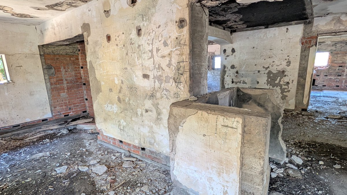 michi_sake tweet media