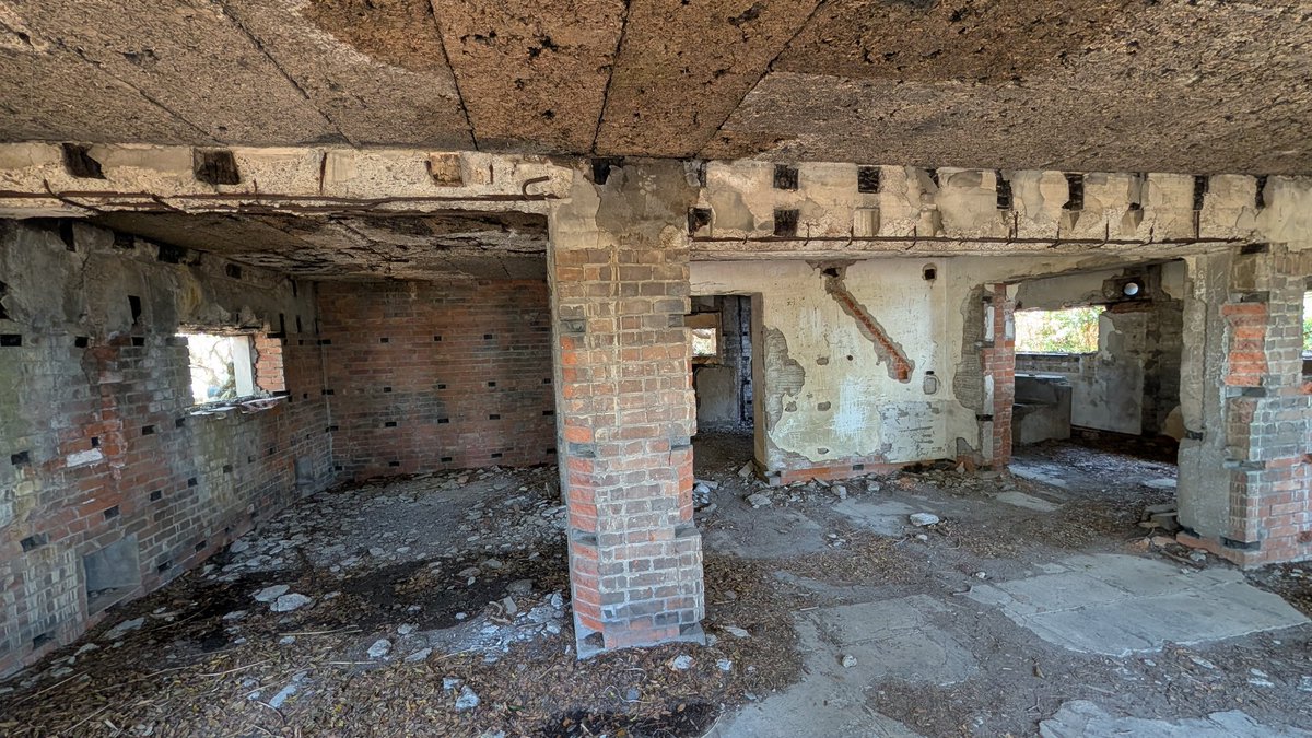 michi_sake tweet media