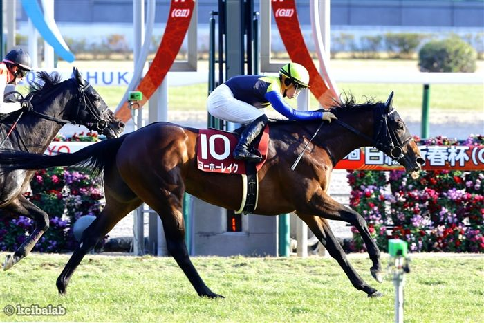 競馬ラボ tweet media