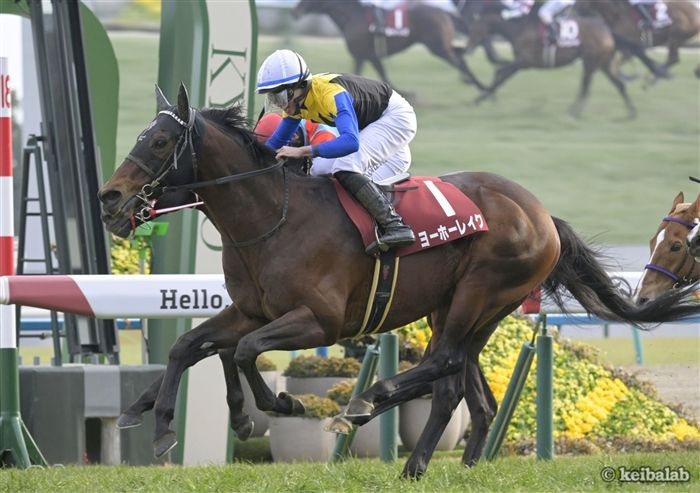 競馬ラボ tweet media