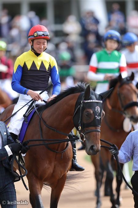 競馬ラボ tweet media