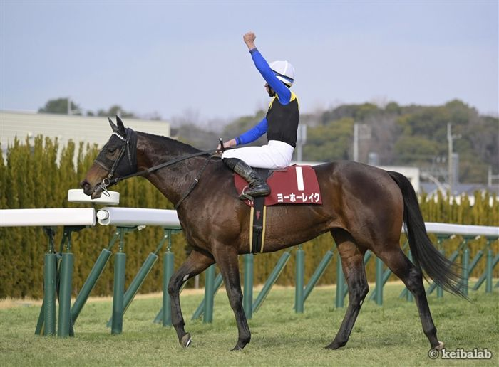 競馬ラボ tweet media